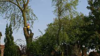 bomen rooien hovenier Doornik Doorning Doornspijk Doorwerth Drempt Dreumel Drie DrieÃ«nhuizen Driedorp Driel Driesprong Duinen Dunsborg Echteld Eck en Wiel Ede 